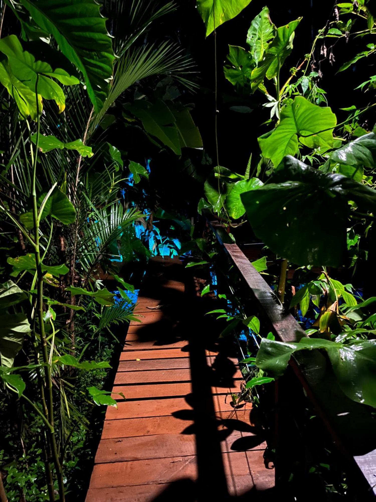 Olaria River Hostel Belém Exterior foto